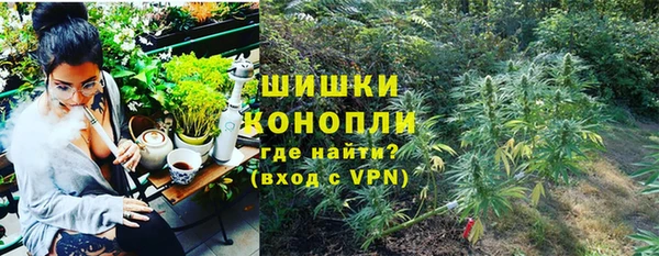 ГАЛЛЮЦИНОГЕННЫЕ ГРИБЫ Лиски