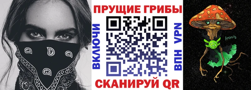 Псилоцибиновые грибы Cubensis  Купить закладки  Раменское 